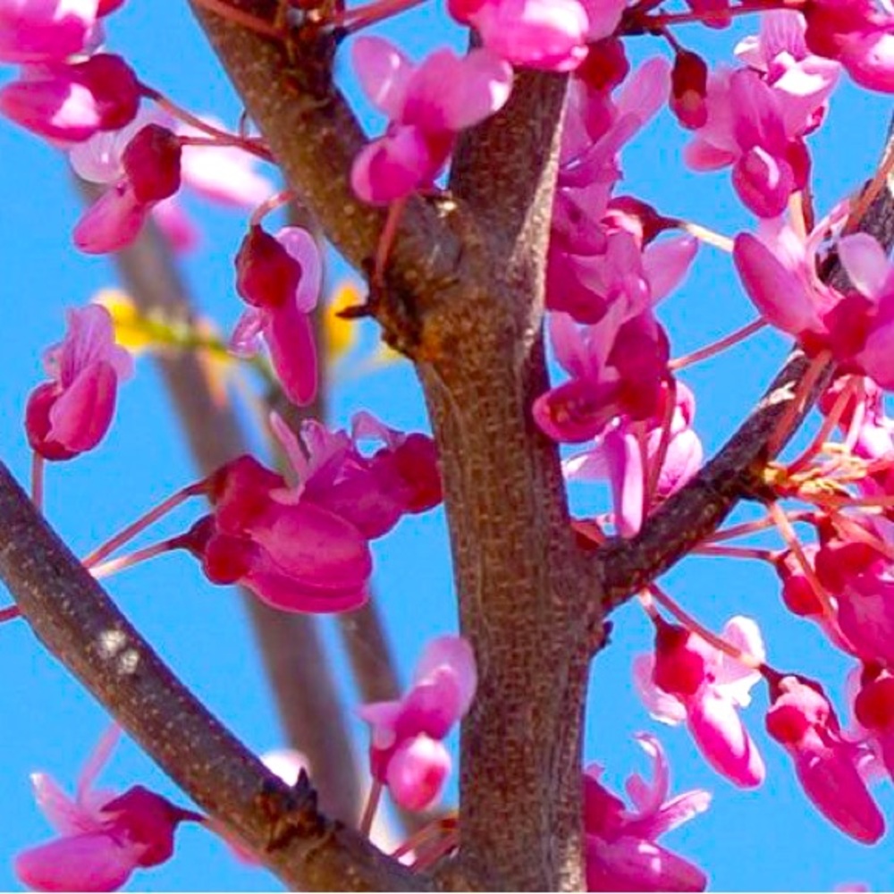 Meet your Posher, Jen